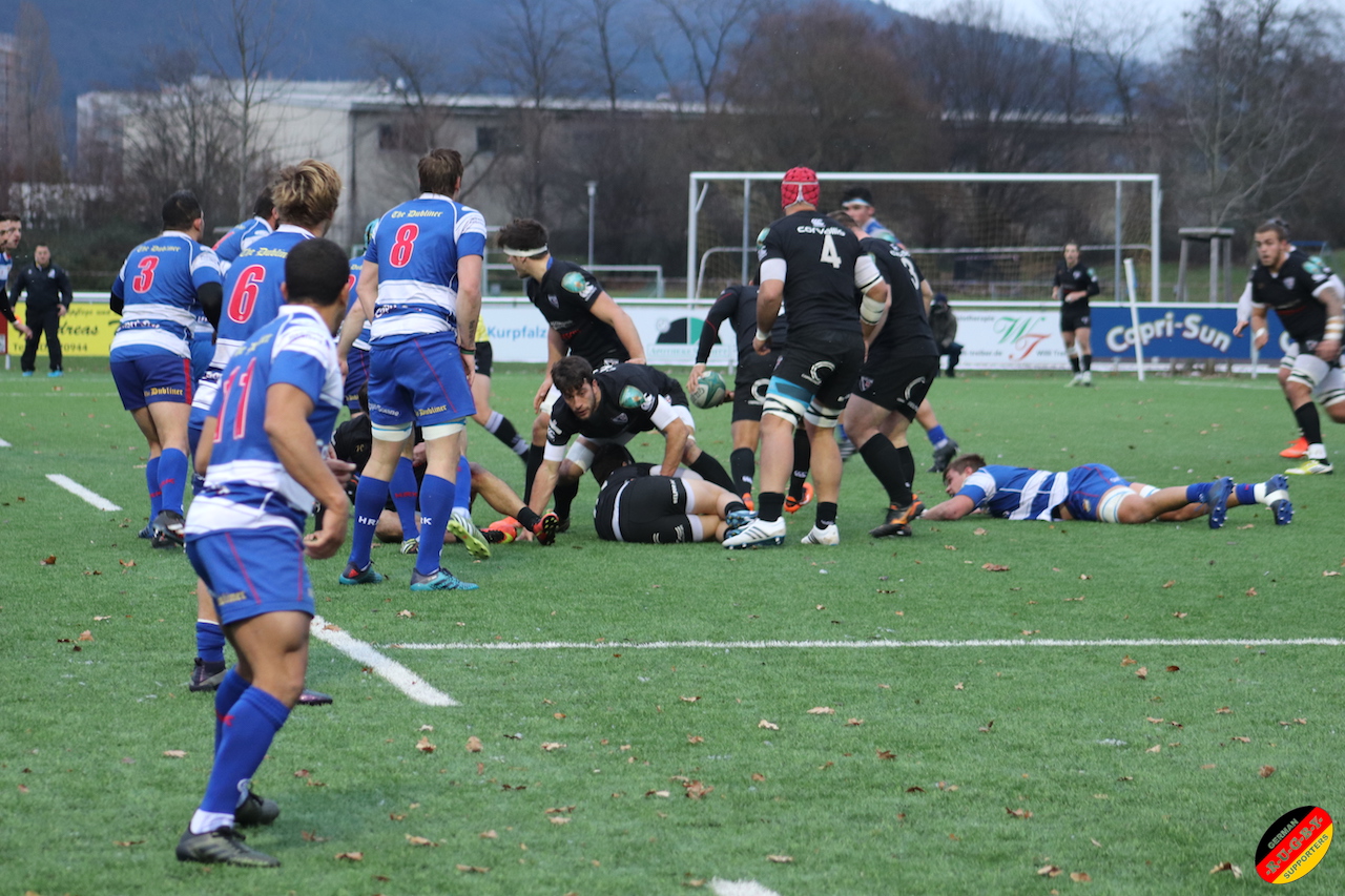 HRK Rugby gegen Petrarca Rugby Home of Quandoz